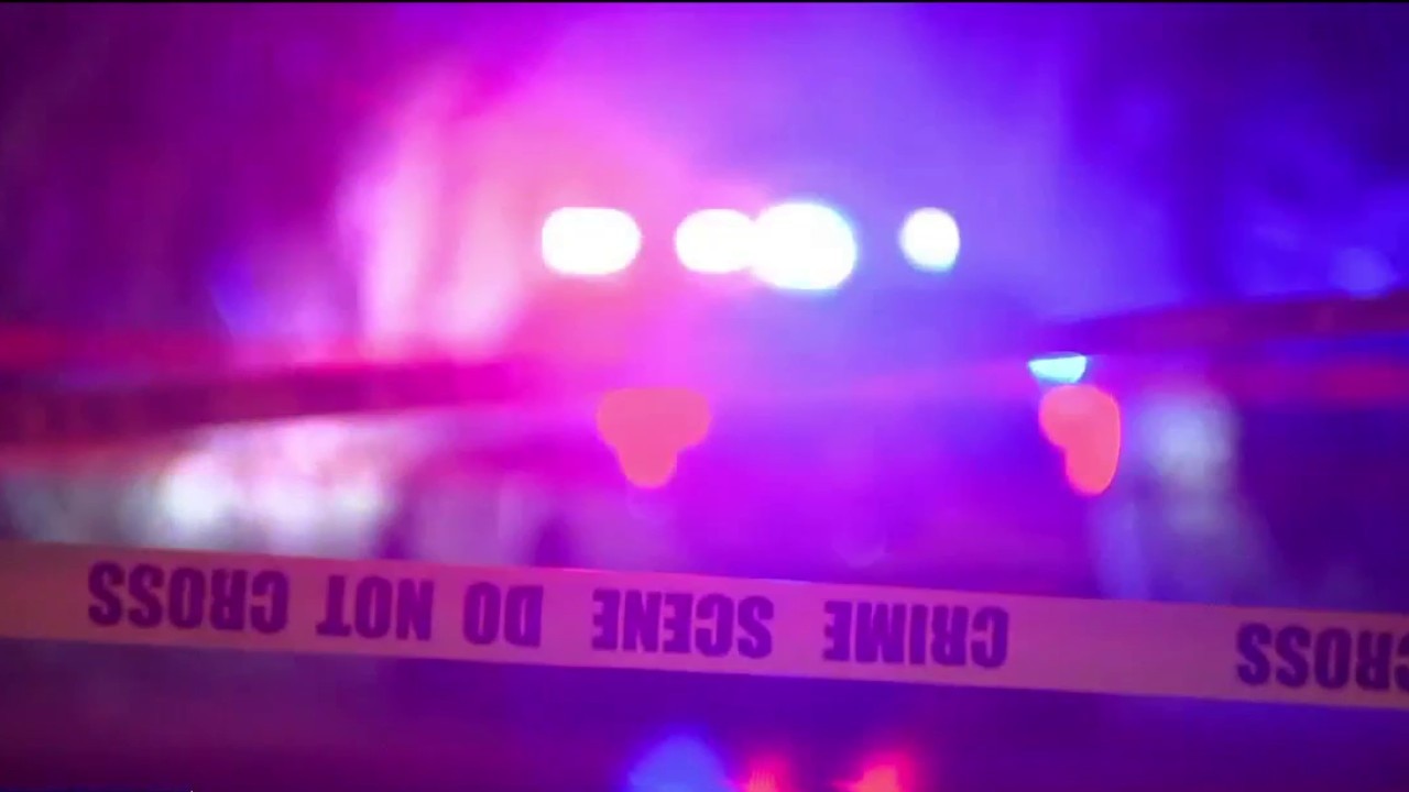 St. Pete, Tampa report lower homicide numbers