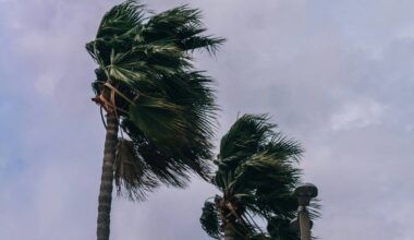 Miami Could Reach Near-Record Heat Today—Followed By A Brutal Cold Front With Plummeting Temps