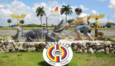 House fails to override Donald Trump's veto of protections for Miccosukee Tribe's Osceola Camp