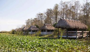 miccosukeevillage-everglades