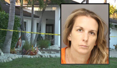 Mother charged with murder after 4-year-old boy found stabbed to death: St. Pete Police