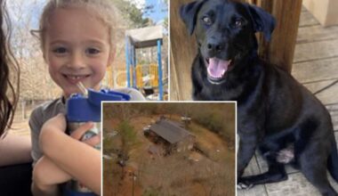 Florida boy Johnathan Boley found dead after he went missing with his dog in Alabama on New Year's Eve