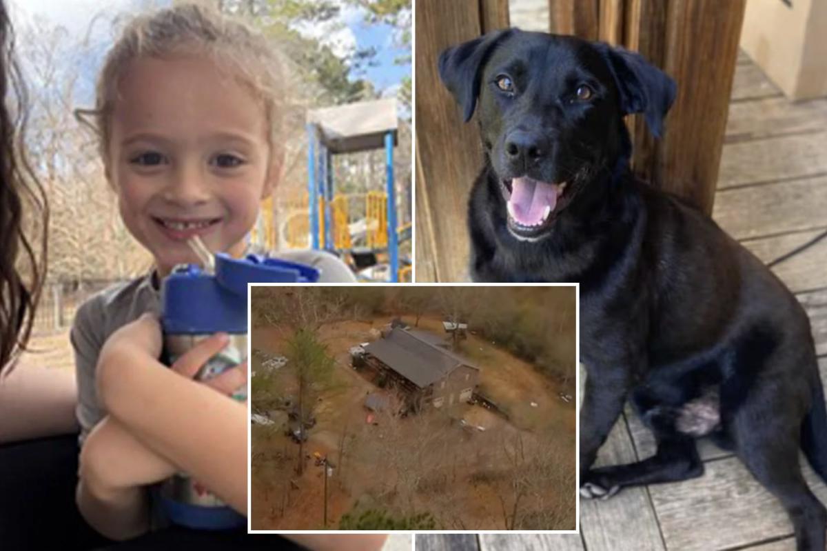Florida boy Johnathan Boley found dead after he went missing with his dog in Alabama on New Year's Eve
