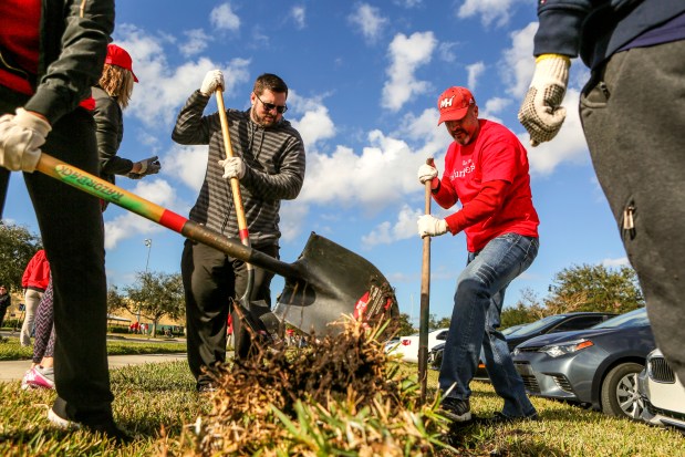 Wells Fargo volunteers Nick Lorimer, left, and Larry San Juan join other volunteers as they dig a hole for a new tree while participating in the Seedlings For Civul Rights event at Trotters Park in Orlando on Martin Luther King Jr. Day, January 15, 2018. (Orlando Sentinel file)