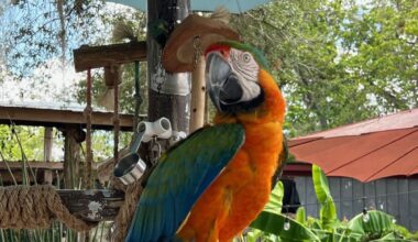 5 Weekend Activities Around SWFL