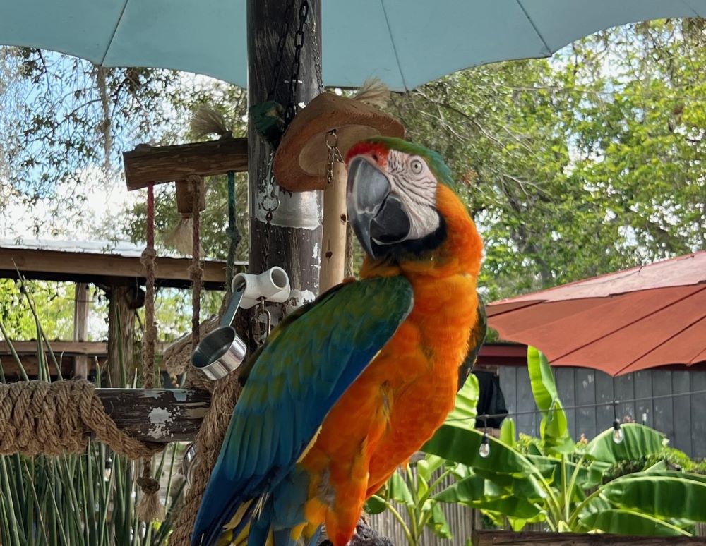 5 Weekend Activities Around SWFL