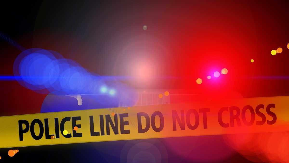 Driver dies after SUV crashes into tree on I-95 in Florida