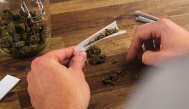 Judge splits on Florida marijuana petition signatures, prompting appeals from state and initiative supporters