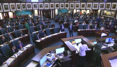 New Florida laws in 2026 tackle animal abuse database, pet insurance, breast examination costs