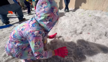 St. Pete elementary school hosts 'snow day' for hands-on learning experience