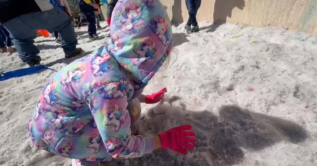 St. Pete elementary school hosts 'snow day' for hands-on learning experience