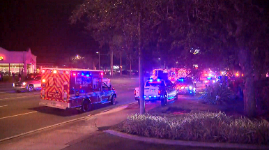 large police presence on lee road