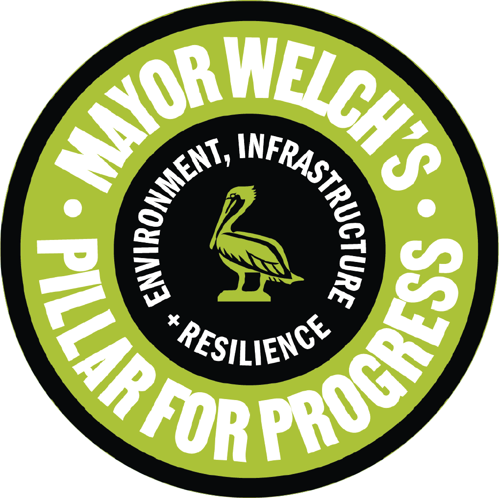 Mayor Welch's Pillar for ProgressL Environment, Infrastructure and Resilience badge