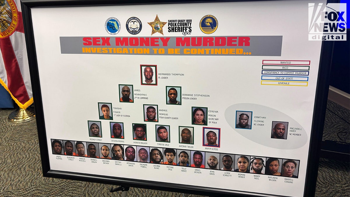 Hierarchy of the "Sex, Money, Murder" gang in Florida.
