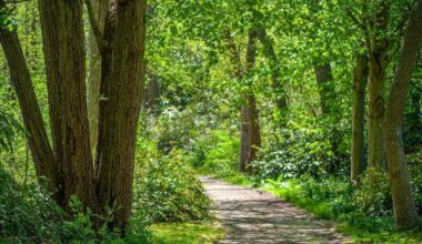 St. Pete Named A 'Trail Town' By FL Dept. Of Environmental Protection