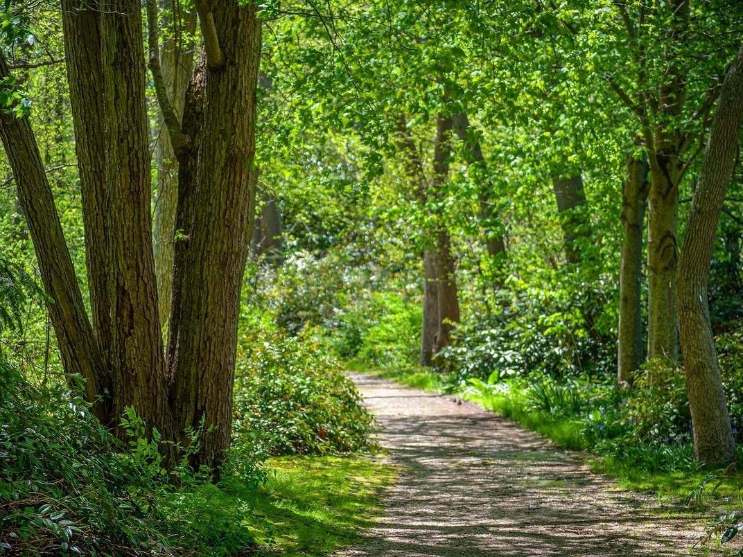 St. Pete Named A 'Trail Town' By FL Dept. Of Environmental Protection