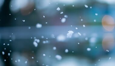 Snow Chances Along FL Gulf Coast Increase, Forecasters Say