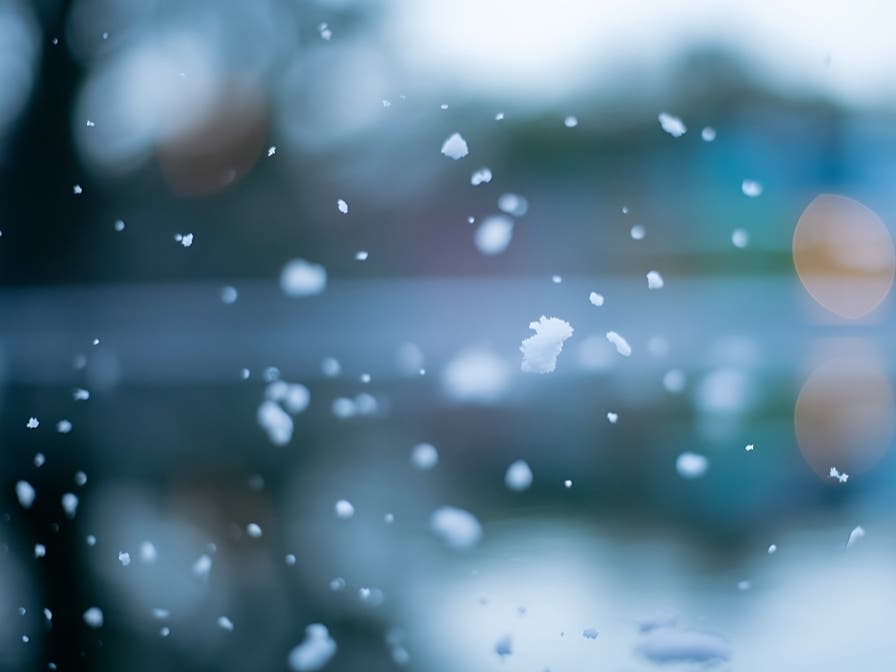 Snow Chances Along FL Gulf Coast Increase, Forecasters Say