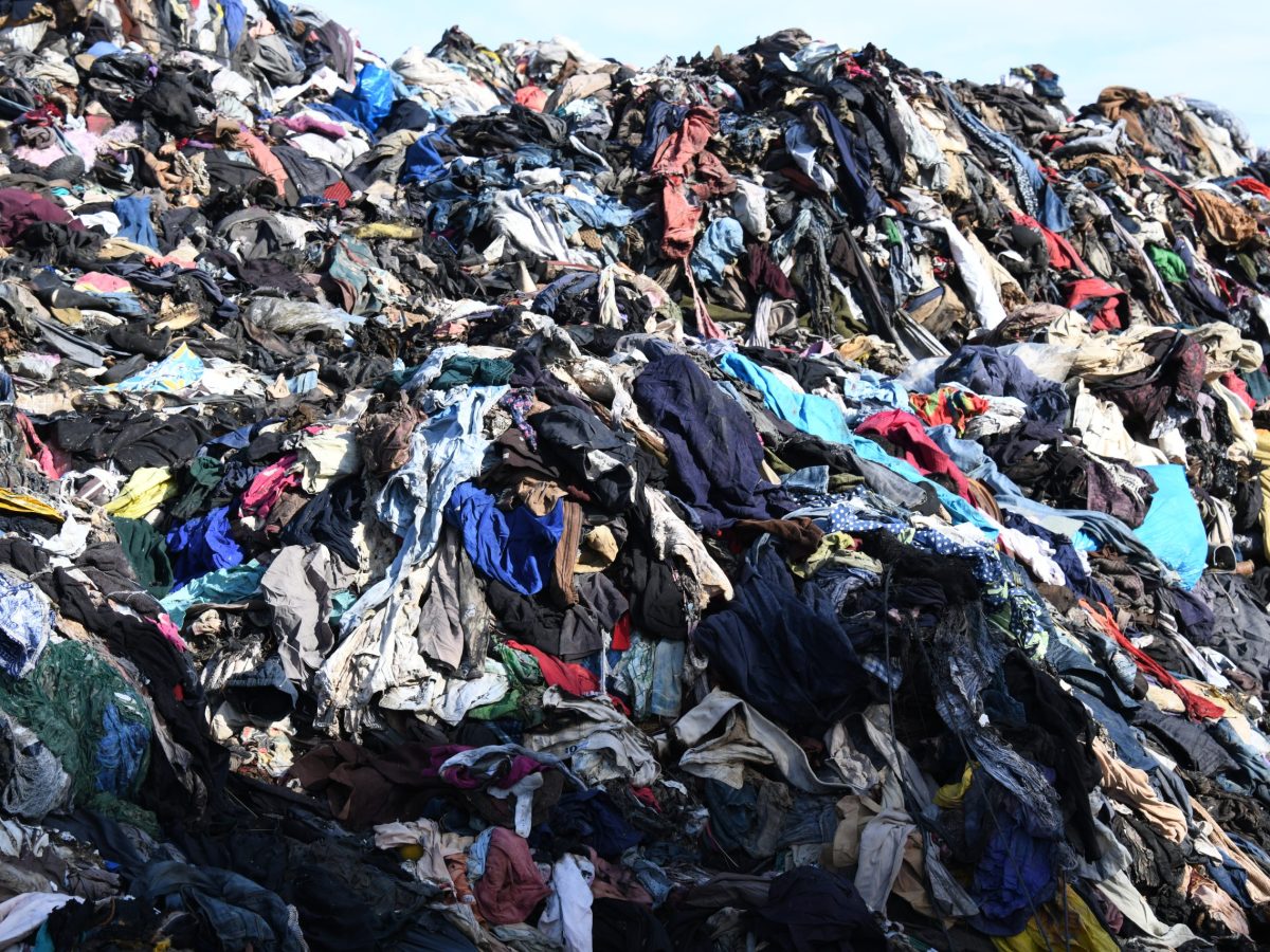 Sans Market hosts quarterly swap to save clothes from landfill