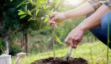 Duke Energy Florida’s tree giveaway encourages customers to plant the right tree in the right place to keep the power flowing | Duke Energy