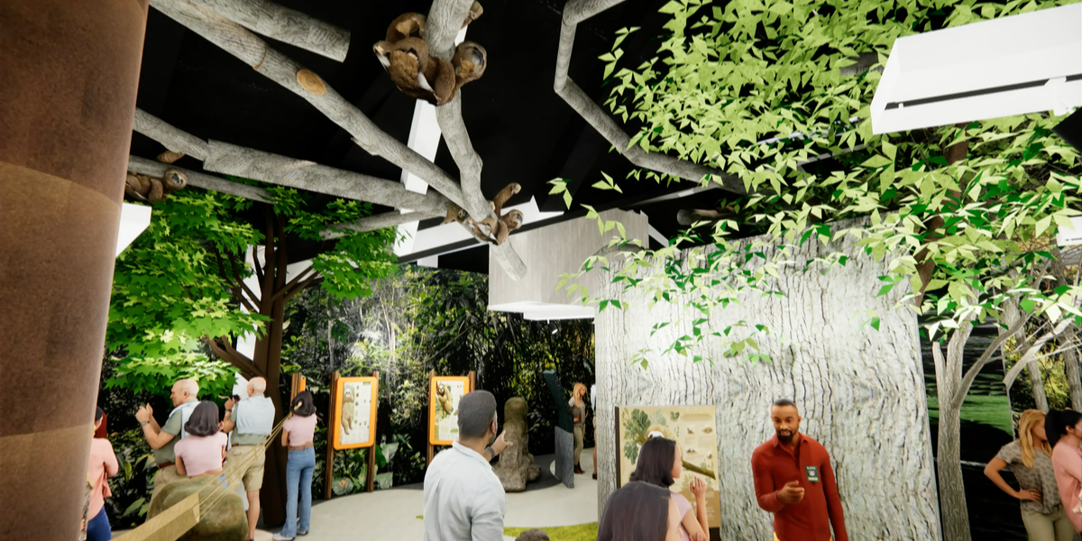 Sloth World animal experience set to open in Orlando