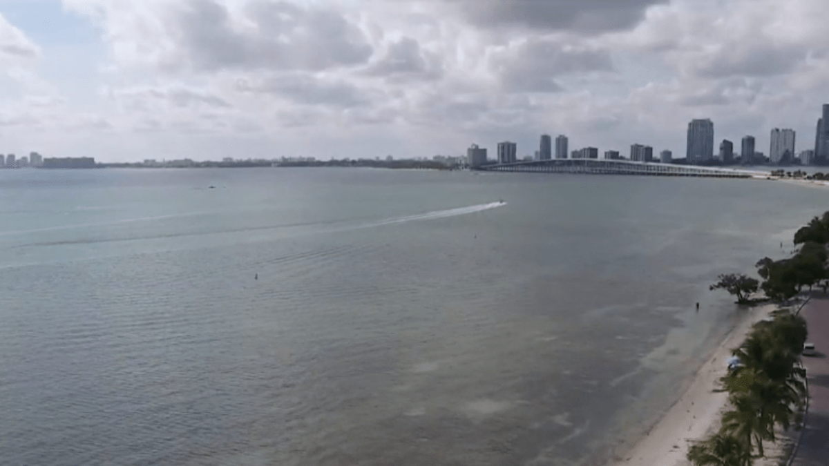 Cold temperatures expected throughout South Florida after long warm pattern – NBC 6 South Florida