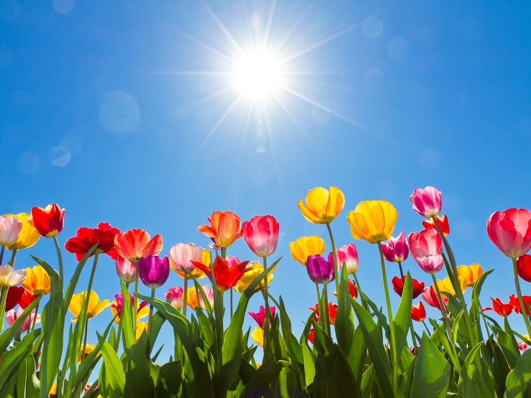 How Much Longer Will Snow, Cold Last: When To Expect Spring In FL