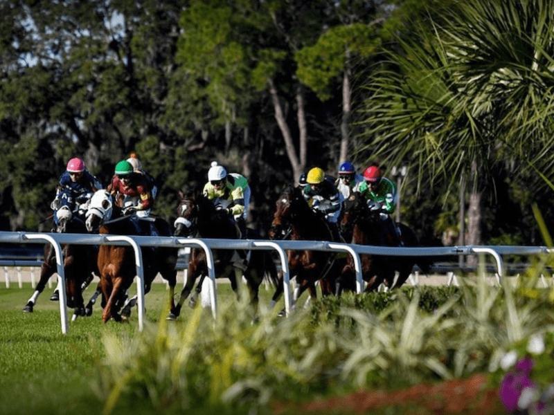 Bills filed to get horse racing out of Tampa Bay Downs, Gulfstream Park