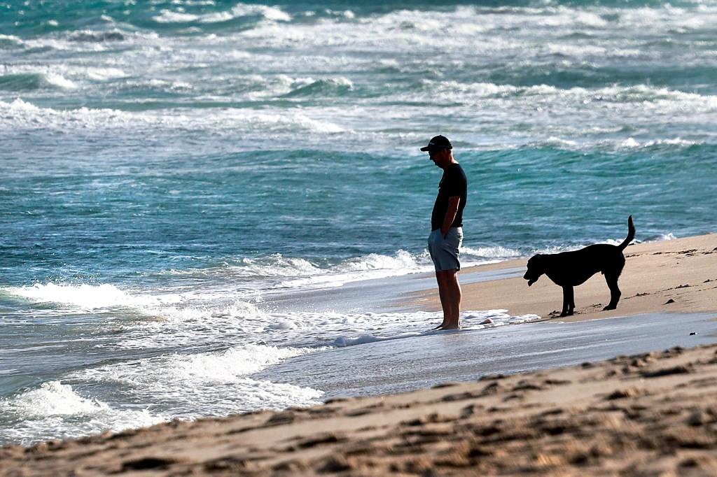 Twenty-six reasons to be glad we're living in South Florida in 2026