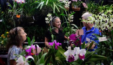 Fort Lauderdale Orchid Society’s 65th Annual Show and Sale