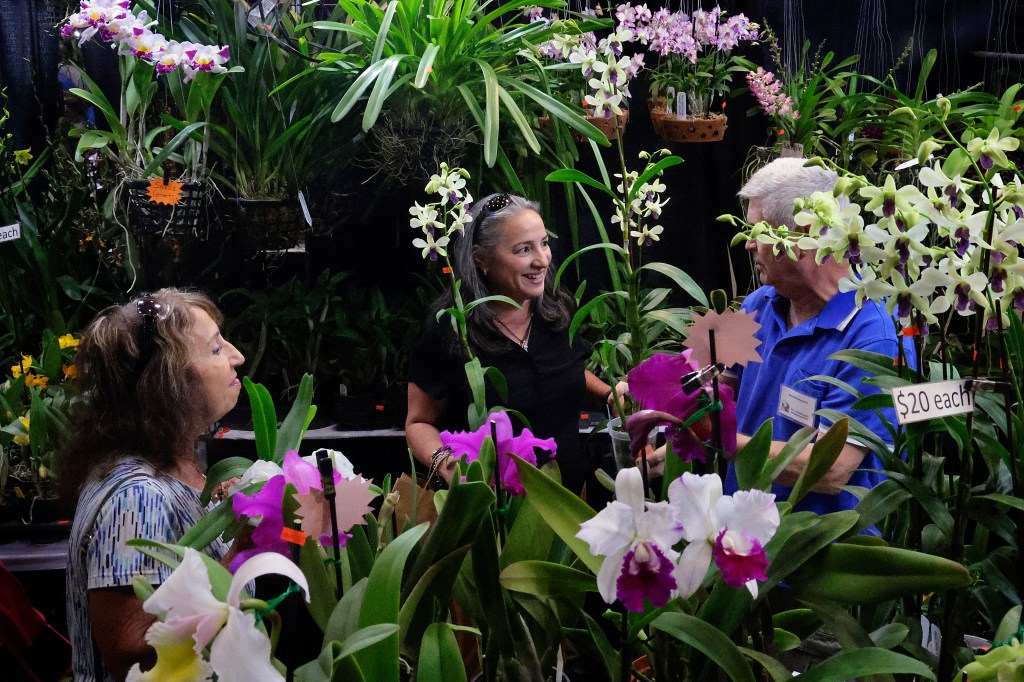Fort Lauderdale Orchid Society’s 65th Annual Show and Sale
