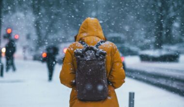 How to Survive the Winter Months at FSU