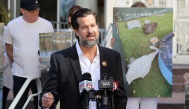 Dyer promises ‘comprehensive’ city review over care of Lake Eola swans – Orlando Sentinel