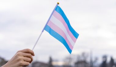transgender flag