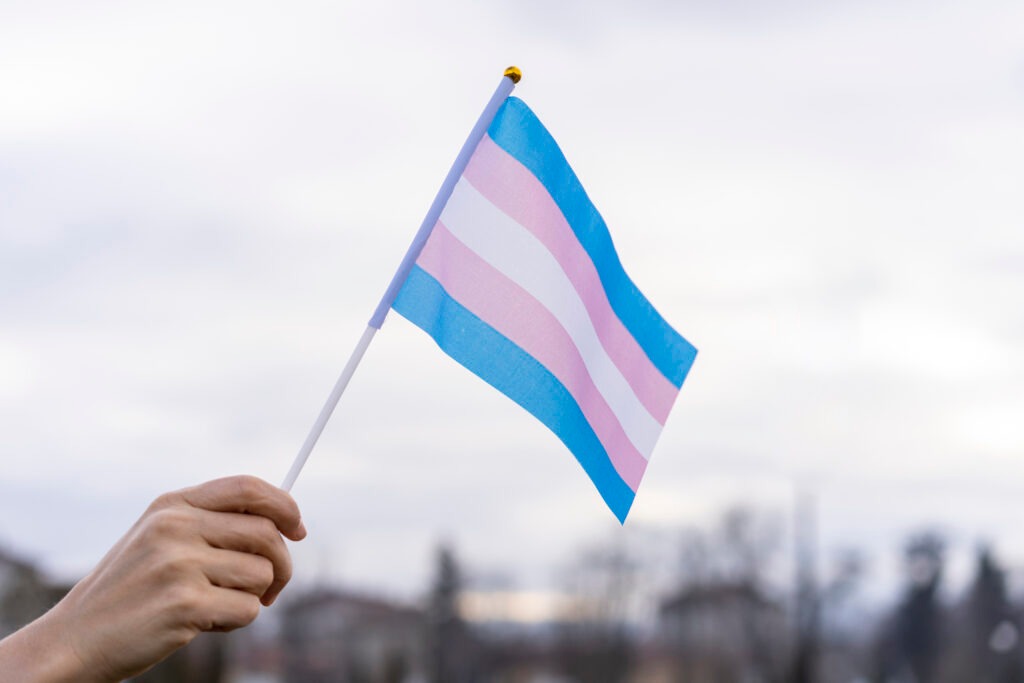 transgender flag