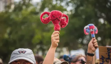 Roe v. Wade anniversary protest planned in St. Pete this month