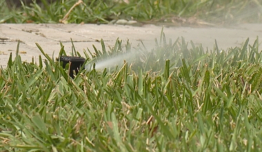 Residents in Tampa Bay area under one-day-per-week watering restrictions