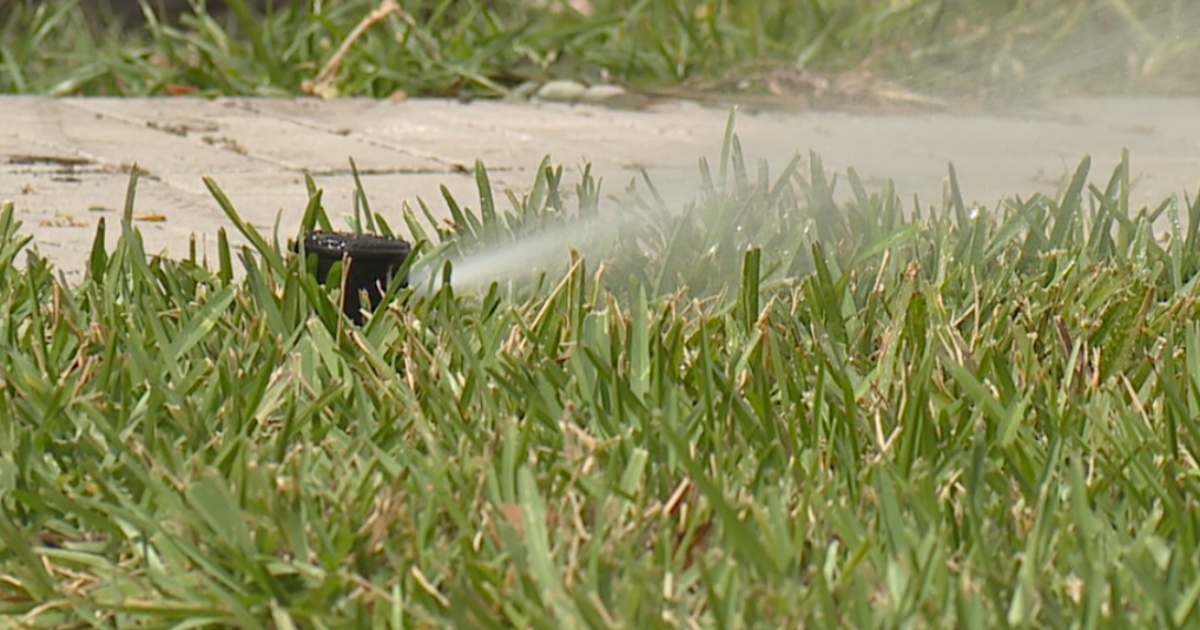 Residents in Tampa Bay area under one-day-per-week watering restrictions
