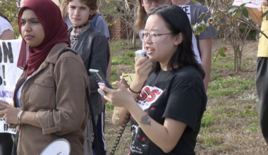 Protests grow across Tampa Bay over ICE violence