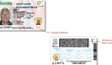 5% of passengers at these airports lack proper ID