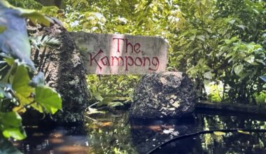 This hidden garden in South Florida houses thousands of tropical plant species
