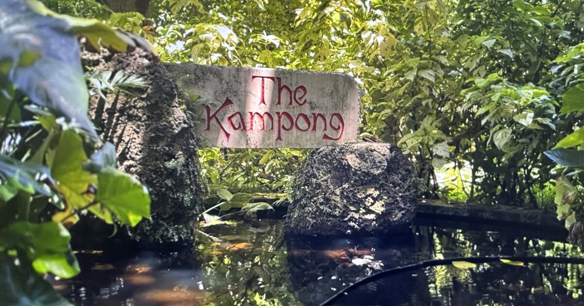 This hidden garden in South Florida houses thousands of tropical plant species