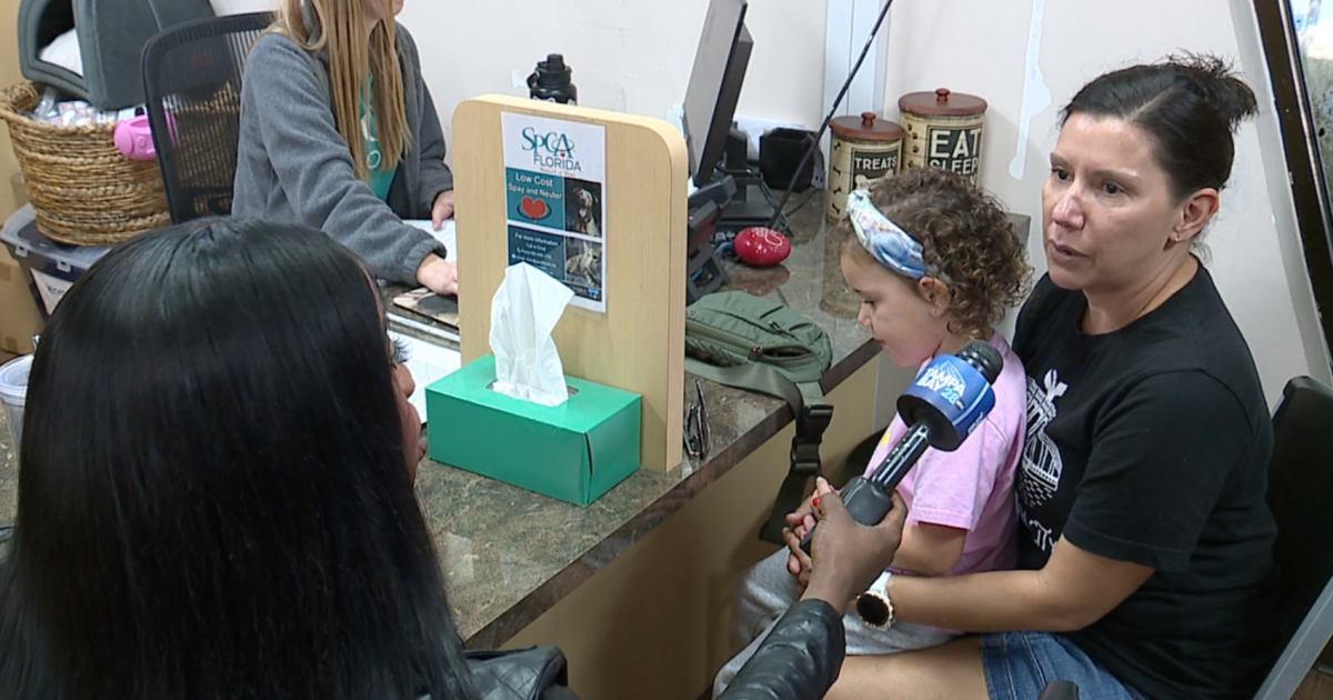 Florida database of animal abusers now online