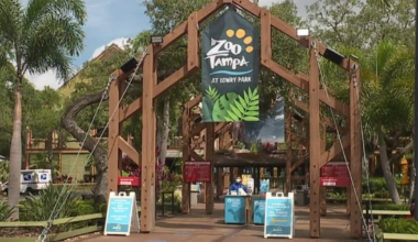 ZooTampa announced new parking fees for 2026