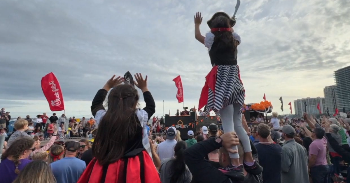 Things to do in Tampa Bay this weekend