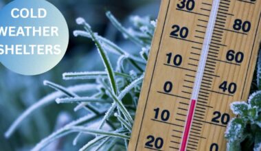 Cold weather shelters to open Sunday and Monday as temperatures drop