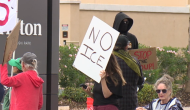 2 people arrested at St. Pete ICE and immigration protests: officials
