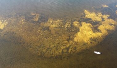Ancient shells bring new oysters to reef rebuilt in mouth of Caloosahatchee River