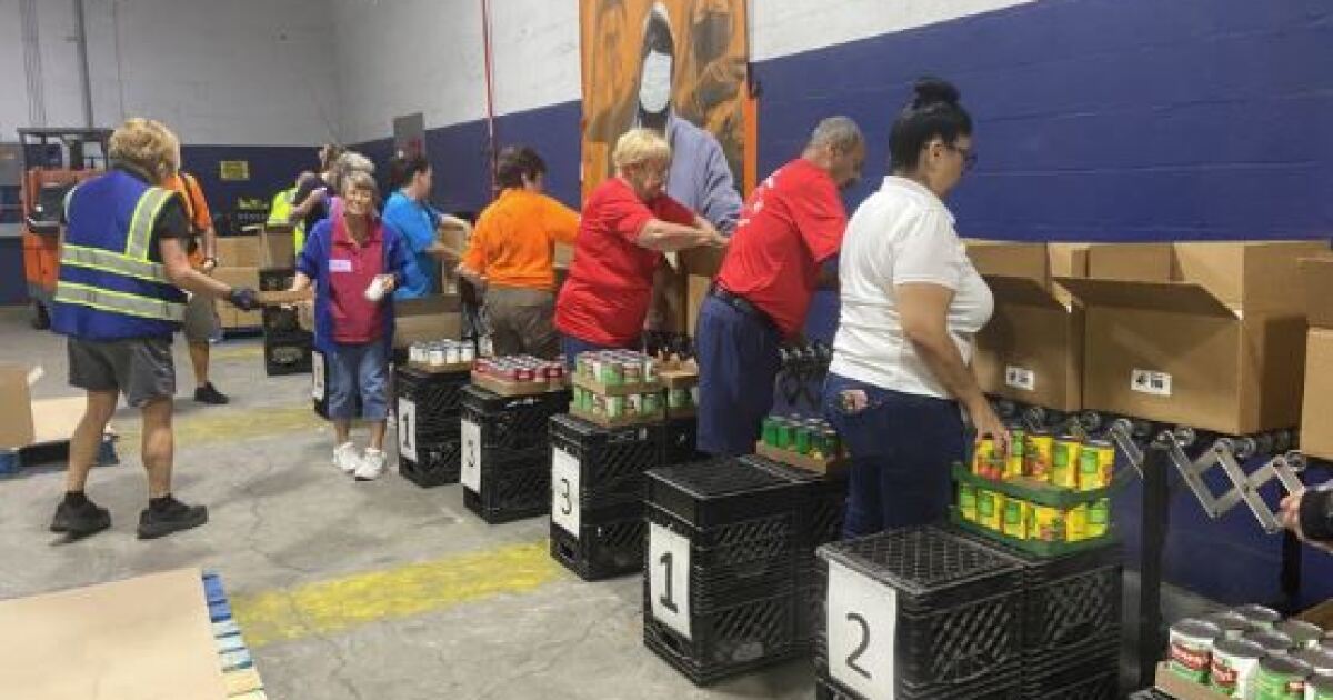 Impact on hunger: Harry Chapin Food Bank distributes 38.7 million pounds of food in 2025