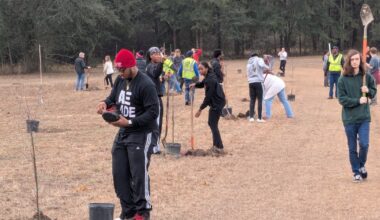 One of Leon County's newest trailheads is now lined with trees